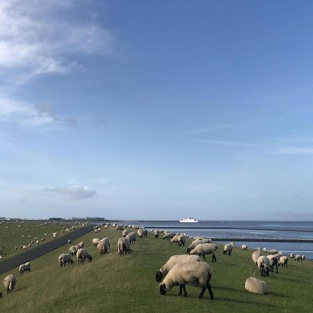 Wind Und Meer - Traumhaft An Der Nordsee Norddeich  Exterior photo
